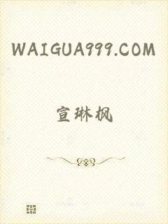 WAIGUA999.COM