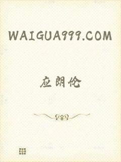 WAIGUA999.COM