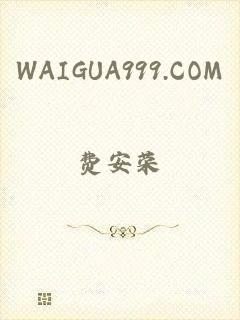 WAIGUA999.COM