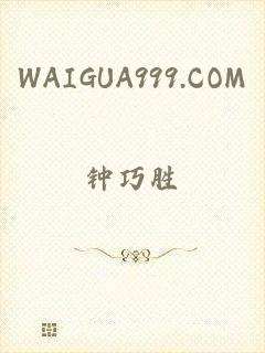 WAIGUA999.COM