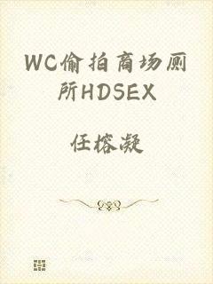 WC偷拍商场厕所HDSEX