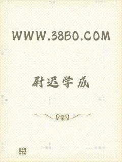 WWW.38BO.COM