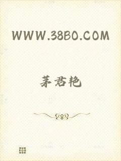 WWW.38BO.COM