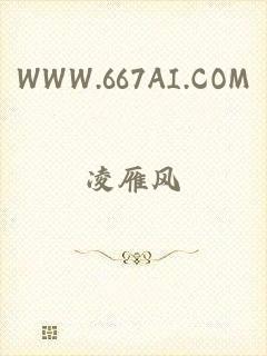 WWW.667AI.COM