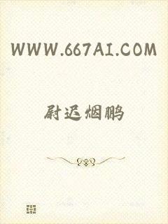 WWW.667AI.COM