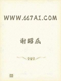 WWW.667AI.COM