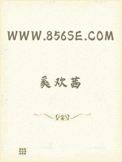 WWW.856SE.COM