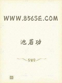 WWW.856SE.COM