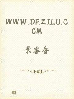 WWW.DEZILU.COM