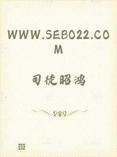 WWW.SEBO22.COM