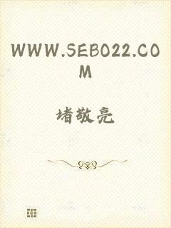 WWW.SEBO22.COM