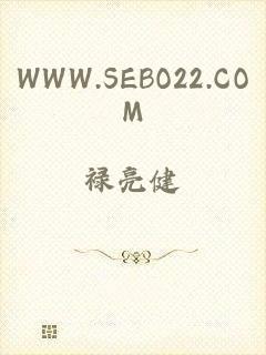 WWW.SEBO22.COM