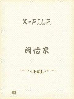 X-FILE