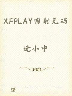 XFPLAY内射无码