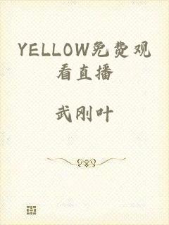 YELLOW免费观看直播