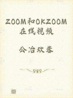 ZOOM和OKZOOM在线视频