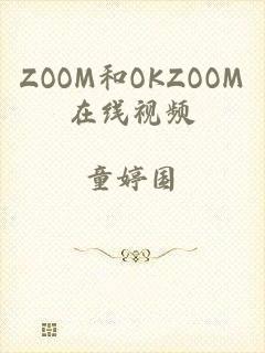 ZOOM和OKZOOM在线视频