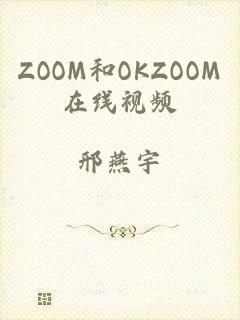 ZOOM和OKZOOM在线视频