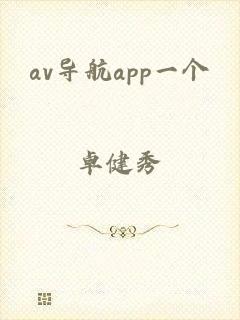 av导航app一个