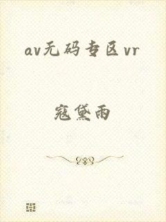 av无码专区vr