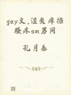 gay文,湿爽痒插骚疼sm男同