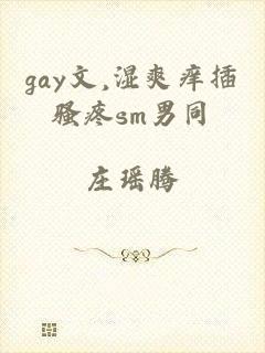 gay文,湿爽痒插骚疼sm男同