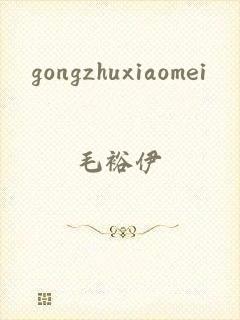 gongzhuxiaomei