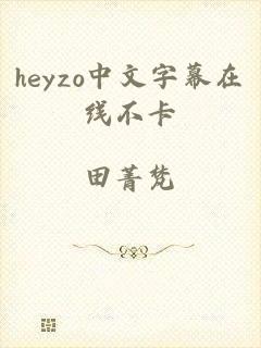 heyzo中文字幕在线不卡