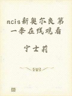 ncis新奥尔良第一季在线观看