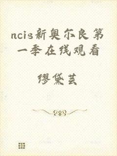 ncis新奥尔良第一季在线观看