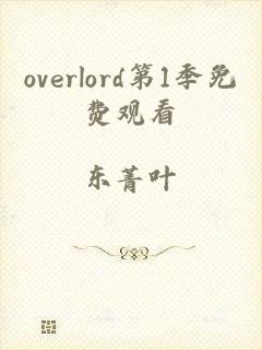 overlord第1季免费观看