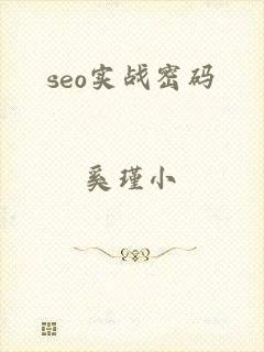 seo实战密码