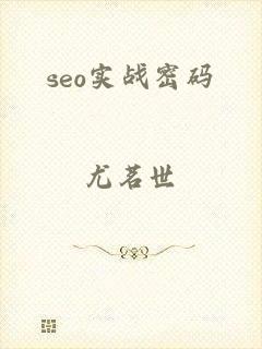 seo实战密码