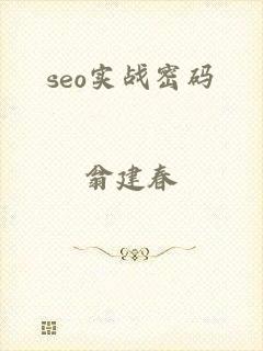 seo实战密码