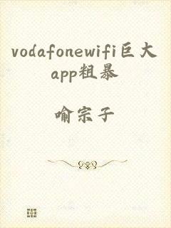 vodafonewifi巨大app粗暴