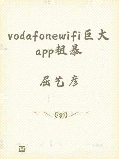 vodafonewifi巨大app粗暴