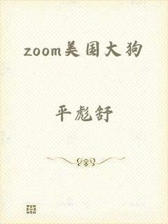 zoom美国大狗