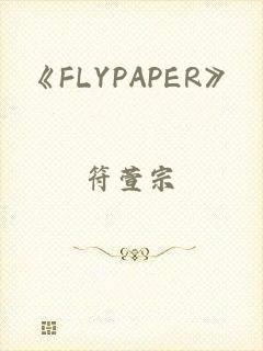 《FLYPAPER》