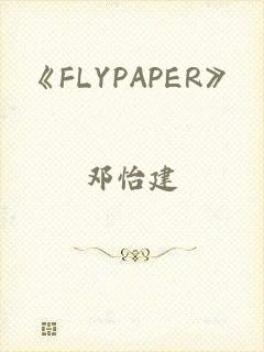 《FLYPAPER》