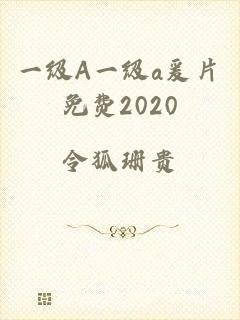 一级A一级a爰片免费2020