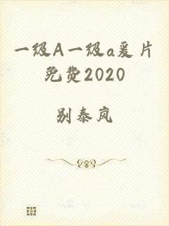 一级A一级a爰片免费2020