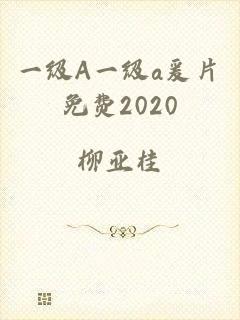 一级A一级a爰片免费2020