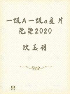 一级A一级a爰片免费2020