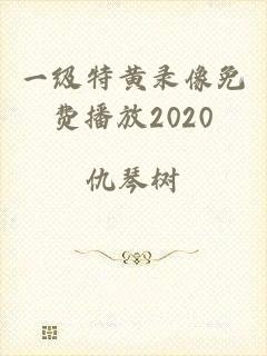 一级特黄录像免费播放2020