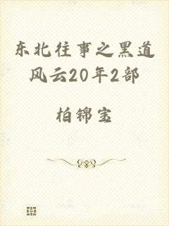 东北往事之黑道风云20年2部