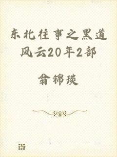 东北往事之黑道风云20年2部