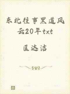 东北往事黑道风云20年txt