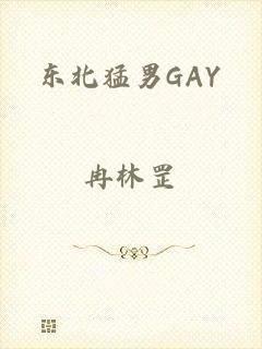 东北猛男GAY