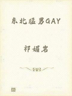 东北猛男GAY