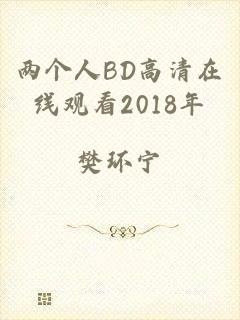 两个人BD高清在线观看2018年